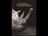 Rhinoceros