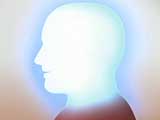 Sinus Guy