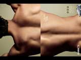 Body (Back)