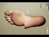 Body (Foot)
