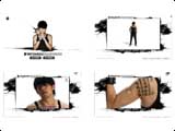 2007 AdFest - Silver - Integrated Campaign