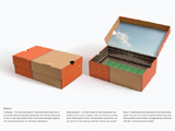 2008 AdFest - Gold - Packaging Design