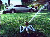 Sprinkler