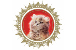 gorgeous-enterprises logo