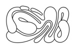 mullenlowe-ssp3-peru logo