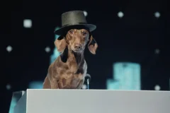 Citroën et BETC vous projettent dans le futur avec leur nouvelle campagne « ÉLECTION 2034 »