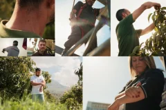 BUONI SOLE :  UN NOUVEAU PAS VERS DES LIEUX DE TRAVAIL EN EXTERIEUR PLUS SURS