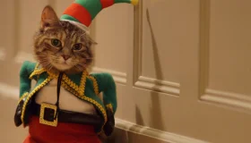 Top Viewed Ads of November 2015