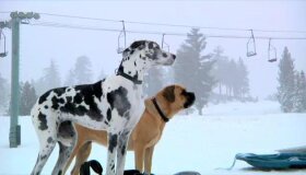 Best Winter Sports Ads