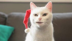 Best Christmas Ads, 2011 