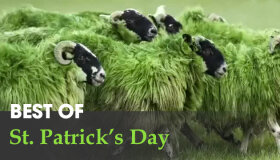 Best St. Patrick's Day Ads 2015