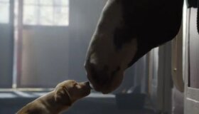 Best Super Bowl Ads of 2014