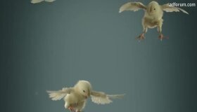 Best Easter Ads 2014
