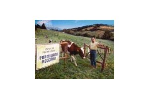 2002 MAGTI GSM - Bronze - Food products, drinks, pet food products