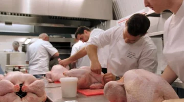Stephan Hilpert: Direct Line 'Christmas Turkey-Mergency Service'