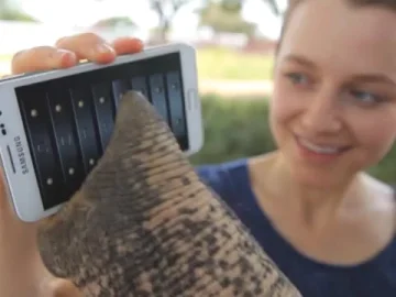 Samsung Galaxy - Elephant