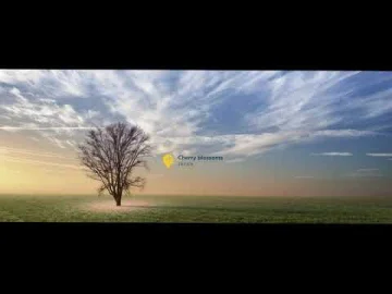 Expedia Klarna | Why wait to go?