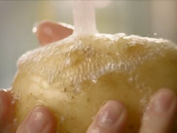 WA Potatoes 'Chips'