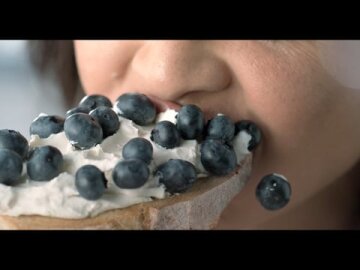 Philadelphia 'Blueberry'