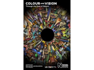 Colour and Vision