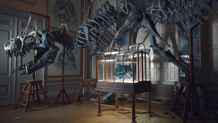 VML'S POSITIVELY PREHISTORIC AWARDS CONTENDER#2